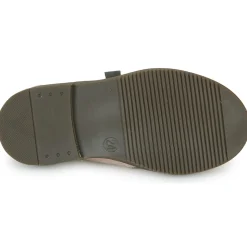 Little Mary - NYMPHEA