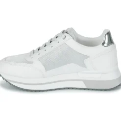 Lumberjack - CECILIA