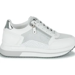 Lumberjack - CECILIA