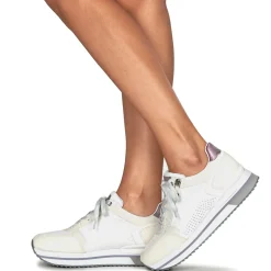 Lumberjack - CECILIA