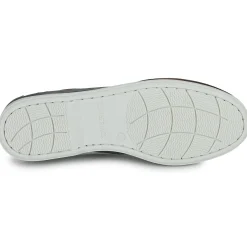 Lumberjack - NAVIGATOR