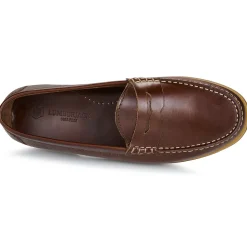 Lumberjack - NAVIGATOR