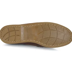 Lumberjack - NAVIGATOR