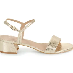 Maison Minelli - F630004MET