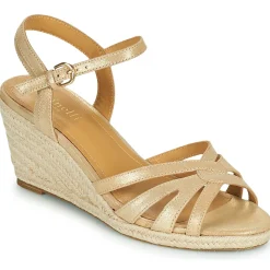 Maison Minelli - TERENSSE