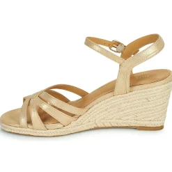 Maison Minelli - TERENSSE