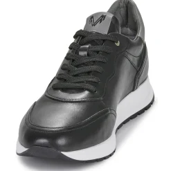 Martinelli - BROOKLINE