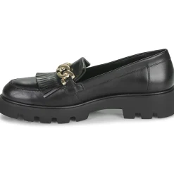 Martinelli - Hermosilla