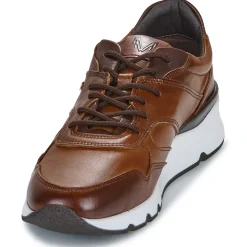 Martinelli - NEWPORT