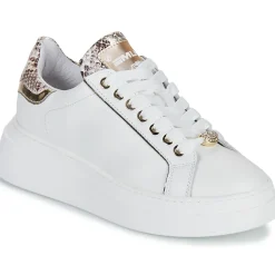 Meline - 608ACC-LO-E883