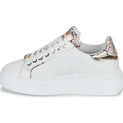 Meline - 608ACC-LO-E883