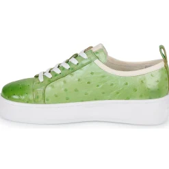 Melvin & Hamilton - AMBER 6