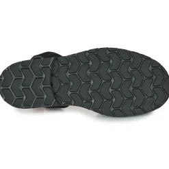 Minorquines - AVARCA