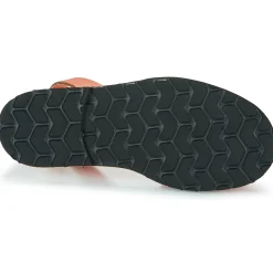 Minorquines - AVARCA