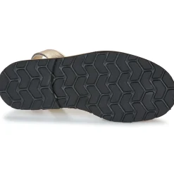 Minorquines - AVARCA