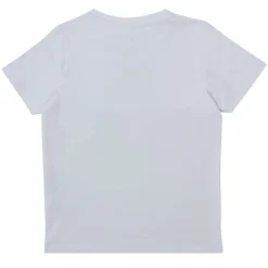 Name it - NMMGIGANTOSAURUS