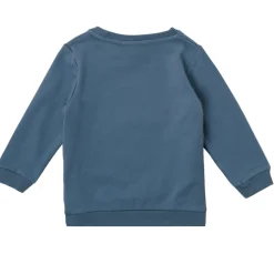 Name it - NMMJANICH SPIDERMAN SWEAT