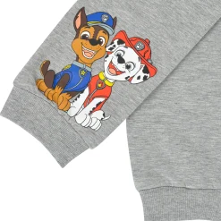 Name it - NMMJOSHU PAW PATROL