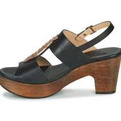 Neosens - ST LAURENT