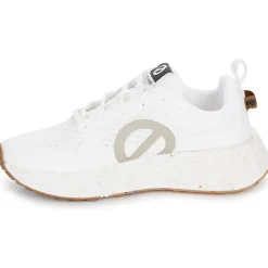 No Name - CARTER FLY W