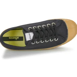 Novesta - STAR MASTER