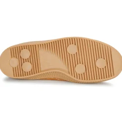 Novesta - STAR MASTER