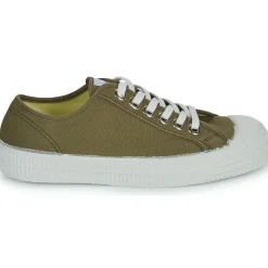 Novesta - STAR MASTER