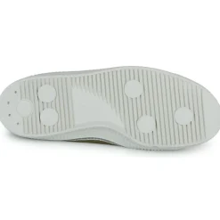 Novesta - STAR MASTER