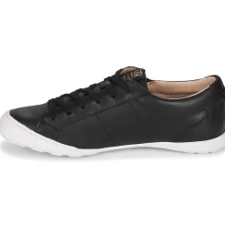 Palladium - GALOPINE SVG