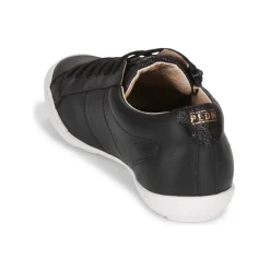 Palladium - GALOPINE SVG