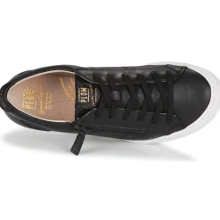 Palladium - GALOPINE SVG