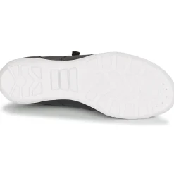 Palladium - GALOPINE SVG