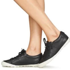 Palladium - GALOPINE SVG