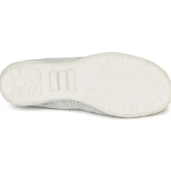 Palladium - GRACIEUSE ALX