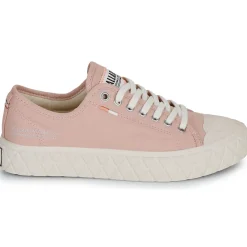 Palladium - PALLA ACE CVS ORG