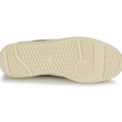 Palladium - PALLACUP FLAME LTH