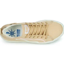 Palladium - PALLATEMPO 02 CVS