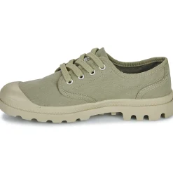 Palladium - PAMPA OX