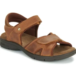 Panama Jack - SANDERS BASICS C4