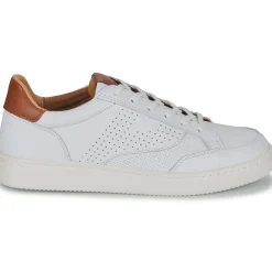 Pataugas - BASALT/VTG H2H