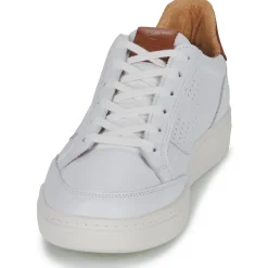 Pataugas - BASALT/VTG H2H