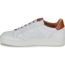 Pataugas - BASALT/VTG H2H