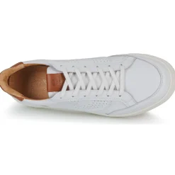 Pataugas - BASALT/VTG H2H