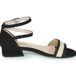 Peter Kaiser - PUERTO