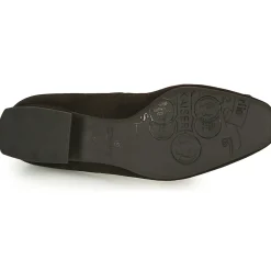 Peter Kaiser - ZWONIZ