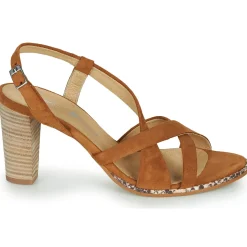 Philippe Morvan - JUDE