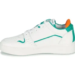 Philippe Morvan - STILL