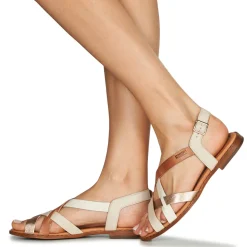 Pikolinos - ALGAR W0X