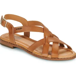 Pikolinos - ALGAR W0X