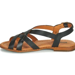 Pikolinos - ALGAR W0X